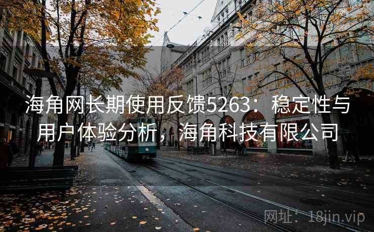 海角网长期使用反馈5263：稳定性与用户体验分析，海角科技有限公司