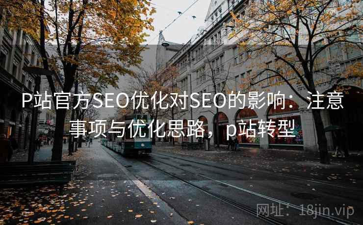 P站官方SEO优化对SEO的影响：注意事项与优化思路，p站转型