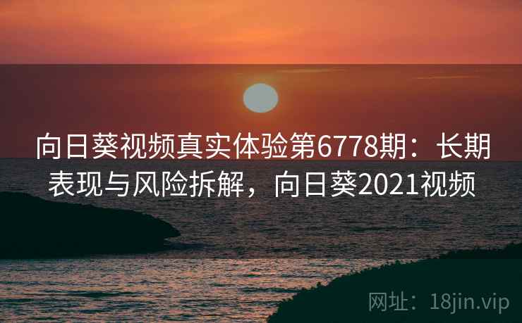 向日葵视频真实体验第6778期：长期表现与风险拆解，向日葵2021视频
