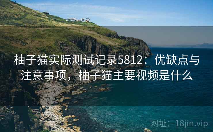 柚子猫实际测试记录5812：优缺点与注意事项，柚子猫主要视频是什么