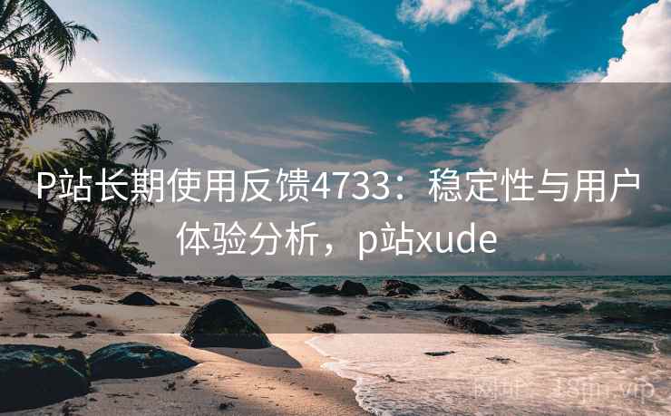 P站长期使用反馈4733：稳定性与用户体验分析，p站xude