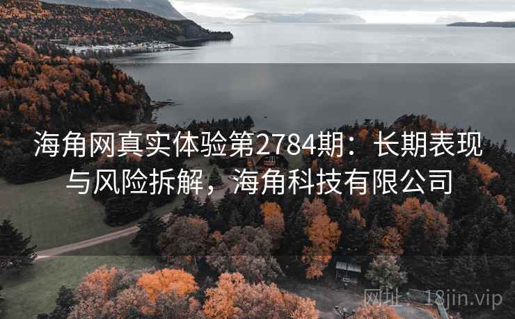 海角网真实体验第2784期：长期表现与风险拆解，海角科技有限公司
