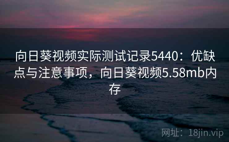 向日葵视频实际测试记录5440：优缺点与注意事项，向日葵视频5.58mb内存