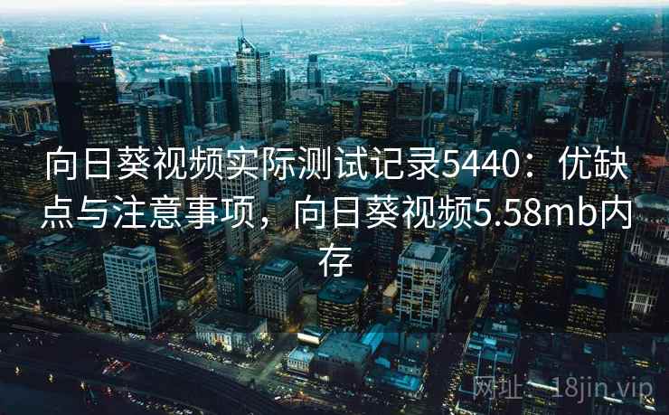 向日葵视频实际测试记录5440：优缺点与注意事项，向日葵视频5.58mb内存